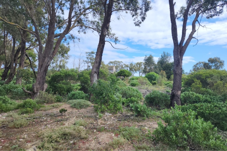 0 Bedroom Property for Sale in Brittania Beach Estate Western Cape